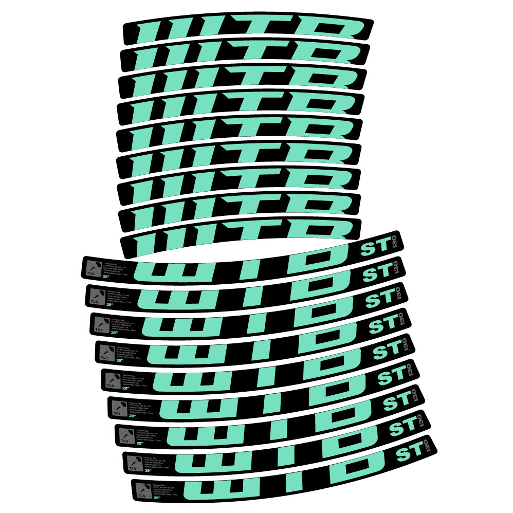 Decal WTB ST i30, MTB Wheel 29, bike sticker vinyl