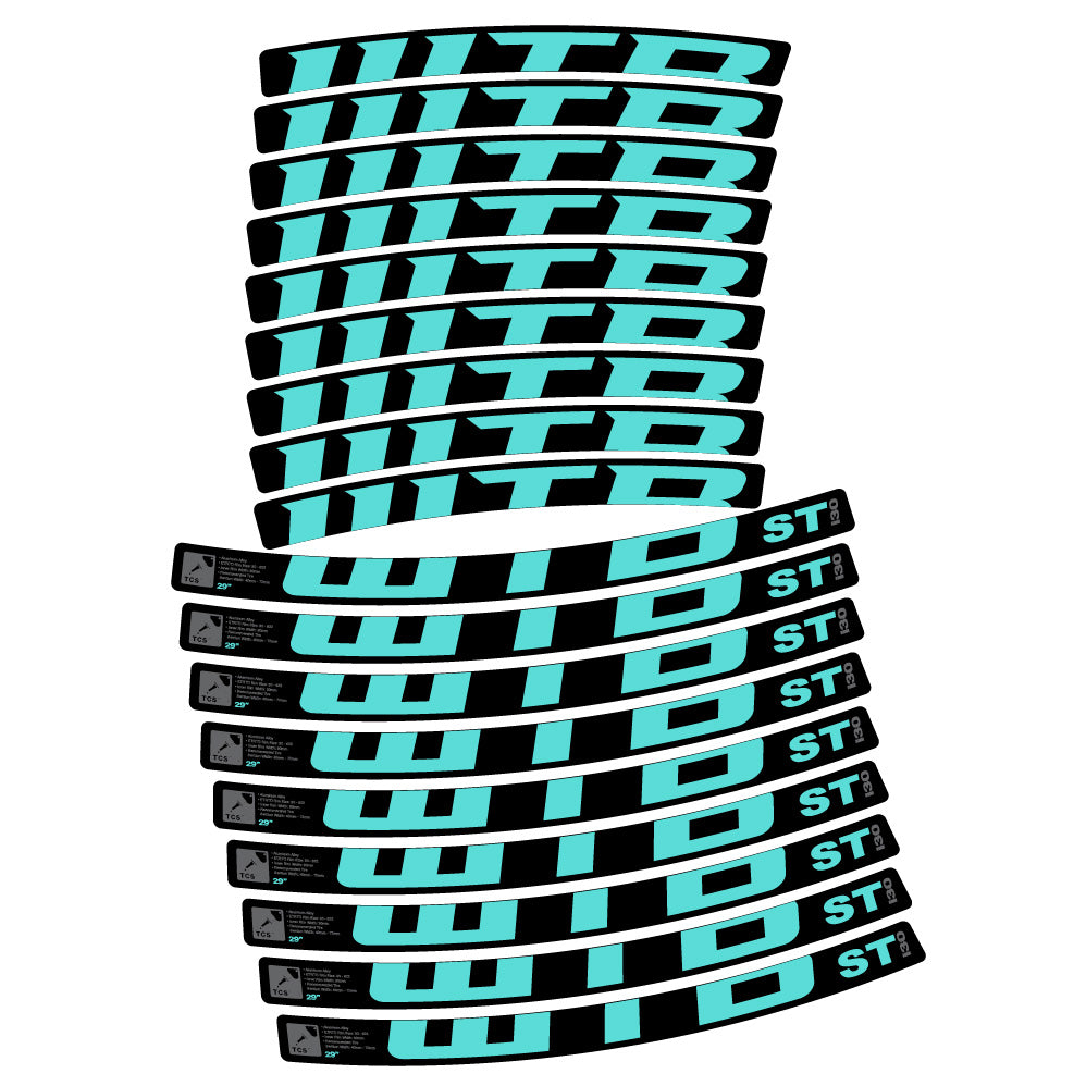 Decal WTB ST i30, MTB Wheel 29, bike sticker vinyl