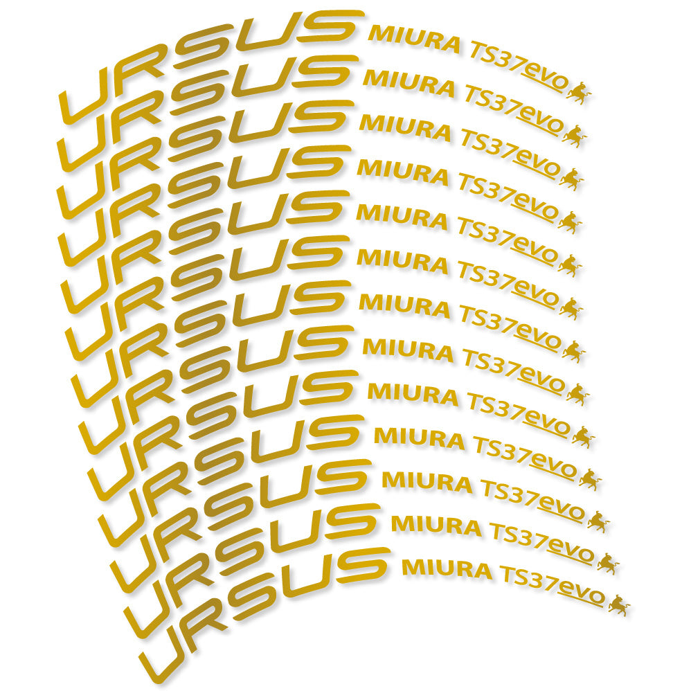 Aufkleber Ursus Miura Ts37 Evo Disc, Rennrad 37 mm, Fahrradaufkleber Vinyl