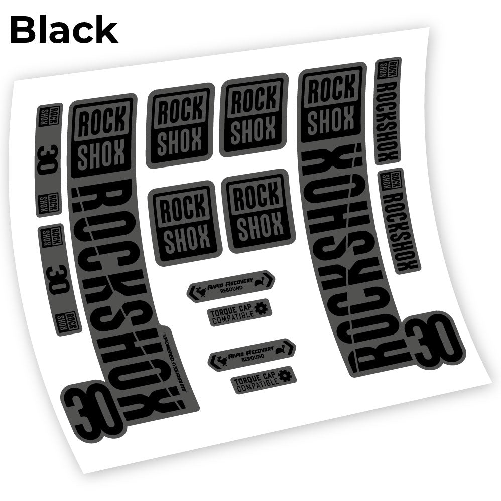 Aufkleber Rock Shox 30 2019, Fahrradgabel, Vinyl-Aufkleber