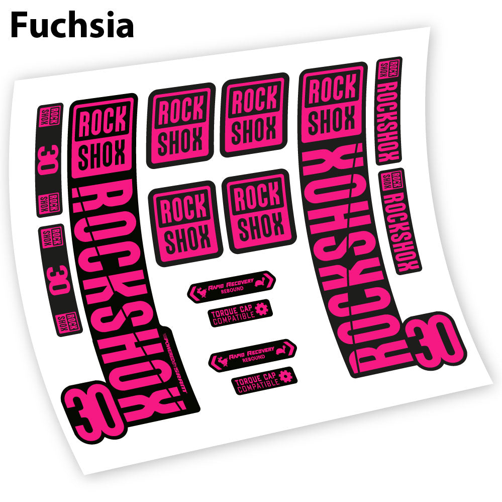 Aufkleber Rock Shox 30 2019, Fahrradgabel, Vinyl-Aufkleber