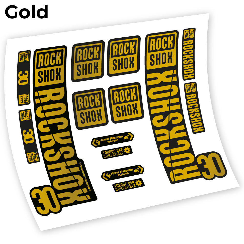 Aufkleber Rock Shox 30 2019, Fahrradgabel, Vinyl-Aufkleber
