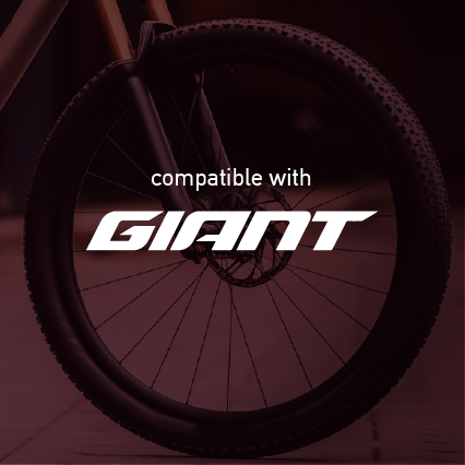 Giant Mountain Wheel