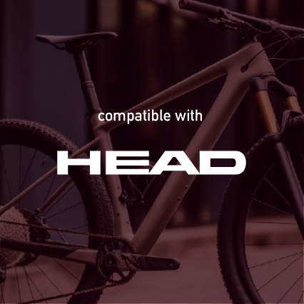 Head