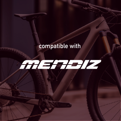 Mendiz