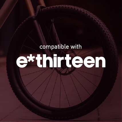 e-thirteen Mountain Wheel