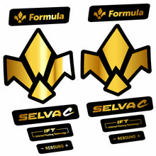 Load image into Gallery viewer, Decal Formula Selva C 2019, Fork 29, bike sticker vinyl
