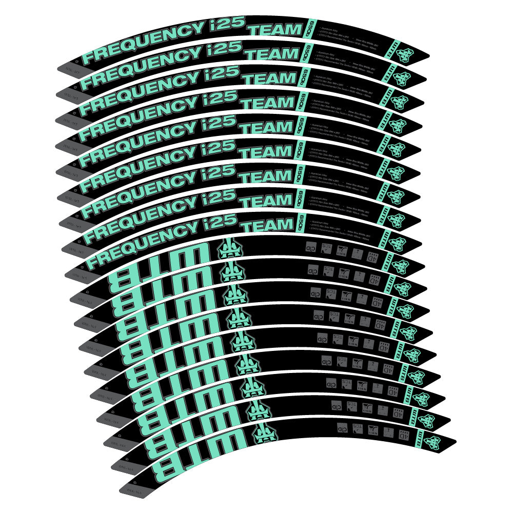 Aufkleber WTB Frequency i25 Team, MTB-Rad 29, Fahrradaufkleber Vinyl