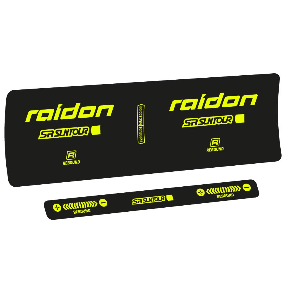 Decal SR Suntour Raidon R 2020, Shock Absorber, bike sticker vinyl