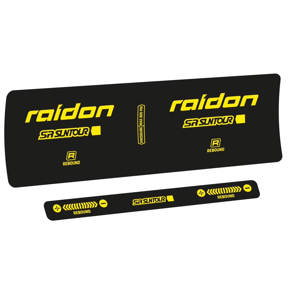 Decal SR Suntour Raidon R 2020, Shock Absorber, bike sticker vinyl