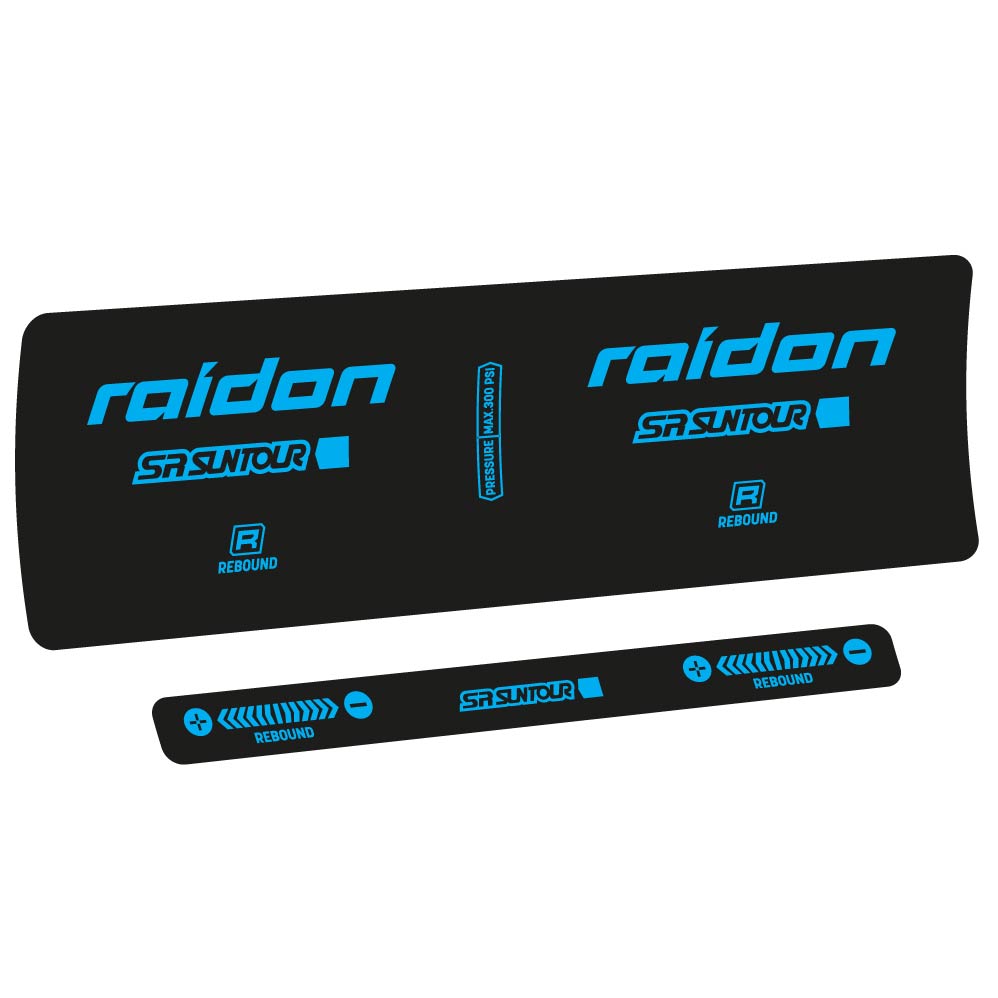 Decal SR Suntour Raidon R 2020, Shock Absorber, bike sticker vinyl