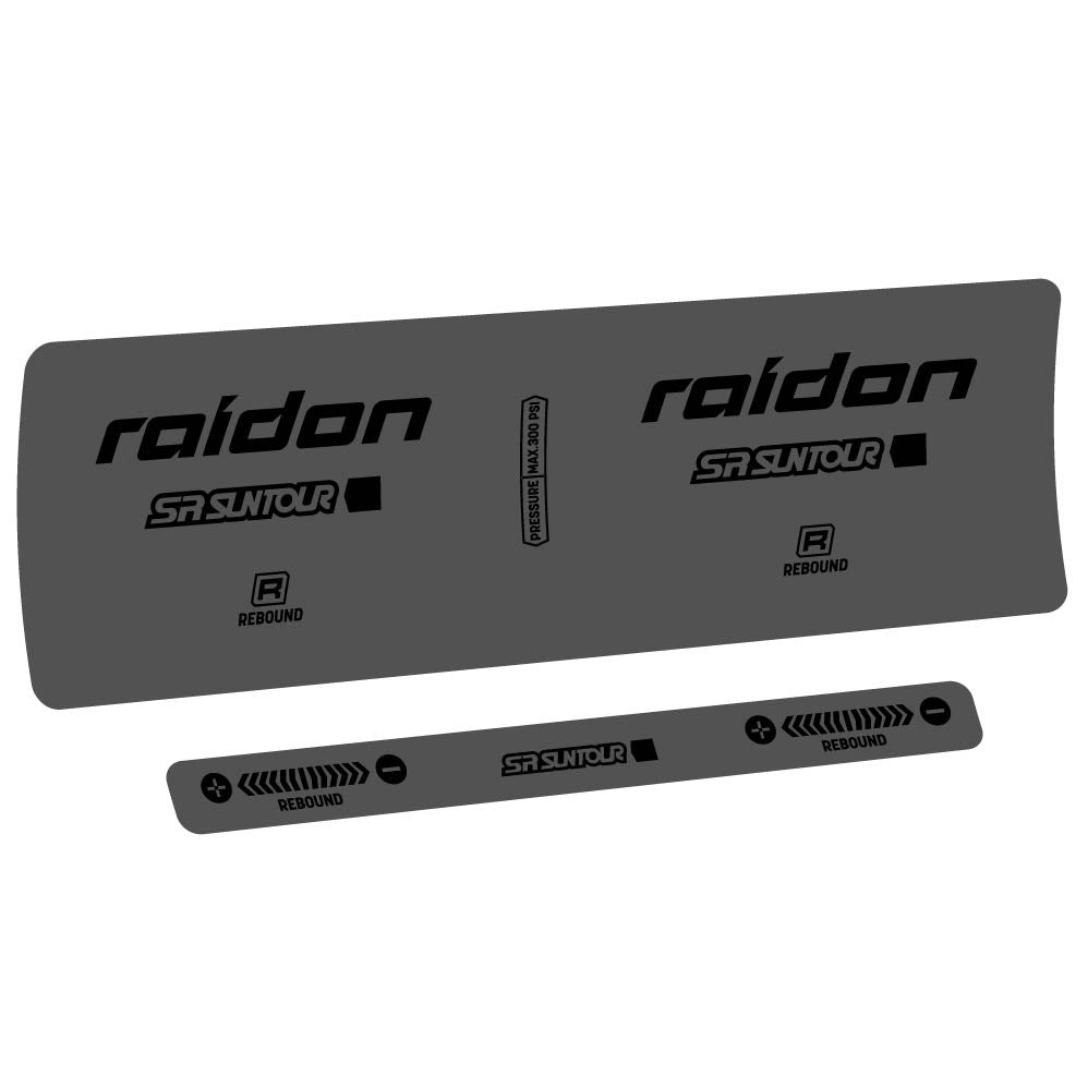 Decal SR Suntour Raidon R 2020, Shock Absorber, bike sticker vinyl