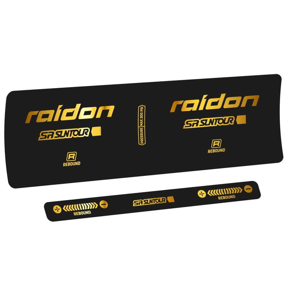 Decal SR Suntour Raidon R 2020, Shock Absorber, bike sticker vinyl