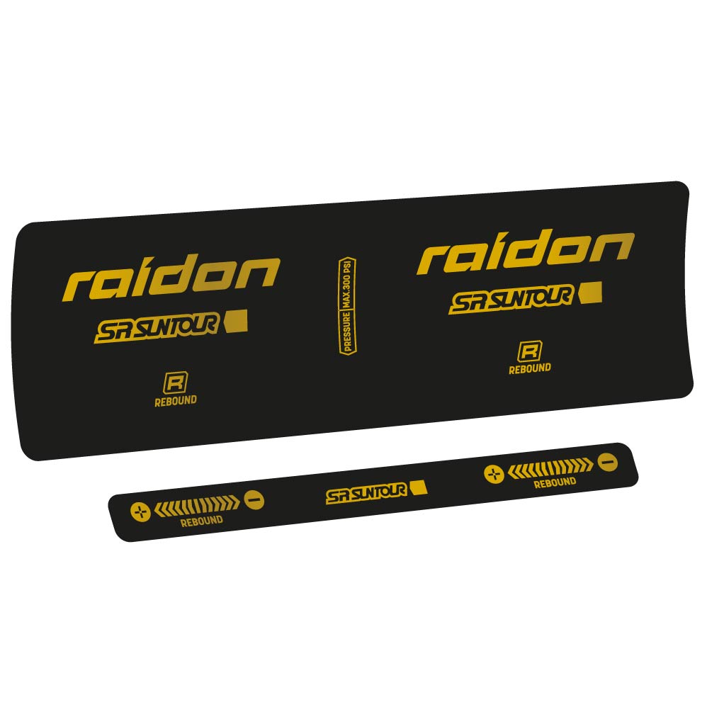 Decal SR Suntour Raidon R 2020, Shock Absorber, bike sticker vinyl