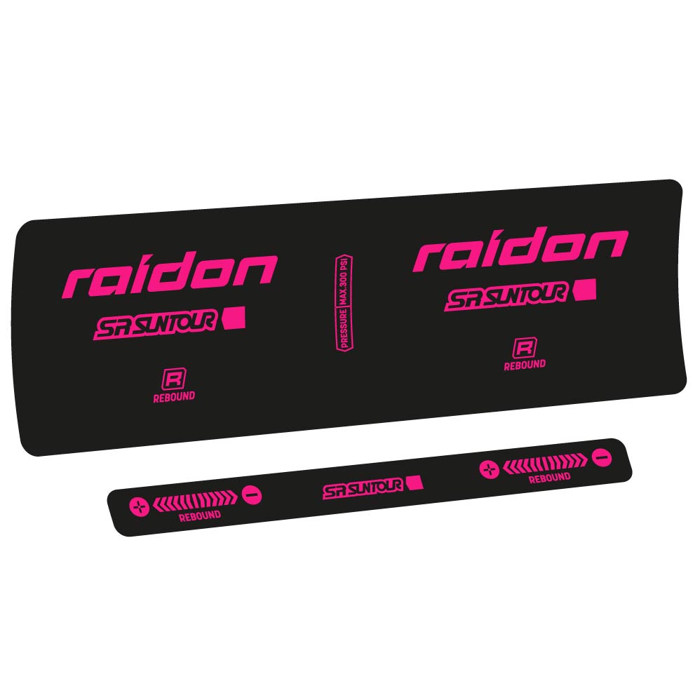 Decal SR Suntour Raidon R 2020, Shock Absorber, bike sticker vinyl