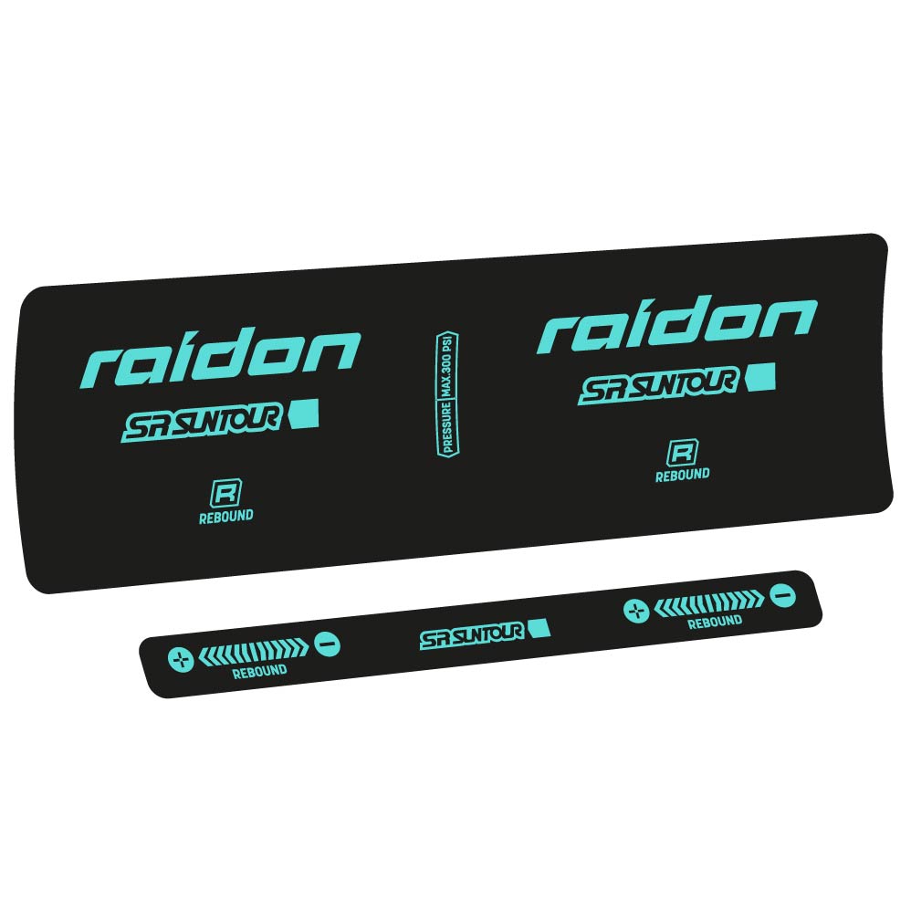 Decal SR Suntour Raidon R 2020, Shock Absorber, bike sticker vinyl