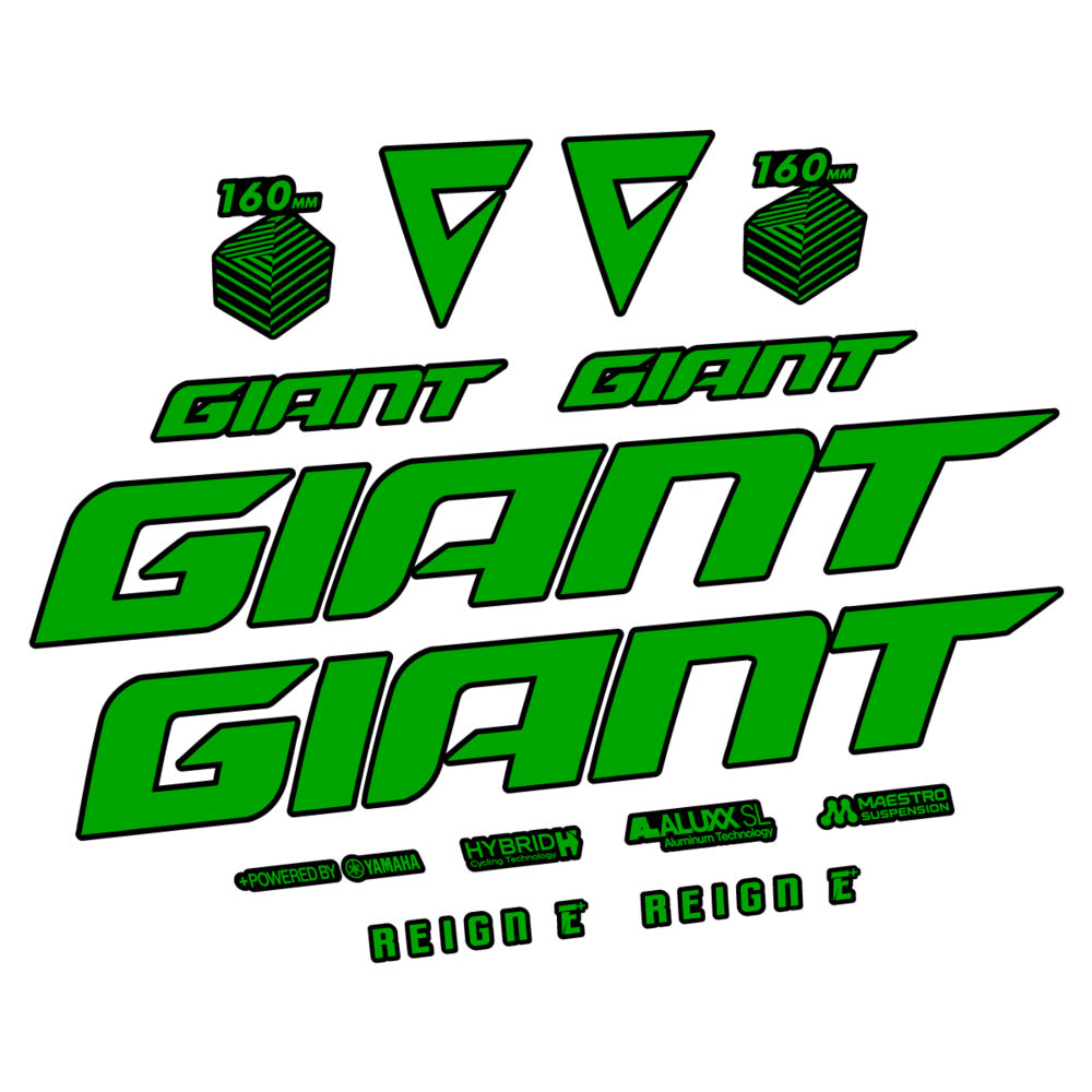Stickers for Giant E-Bike Reign Advanced 2022-2023, Frame vinyl decals - Green