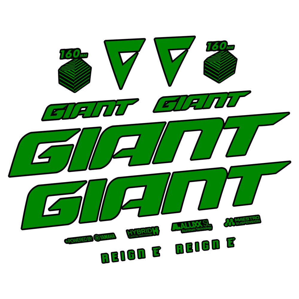 Stickers for Giant E-Bike Reign Advanced 2022-2023, Frame vinyl decals - Medium Green
