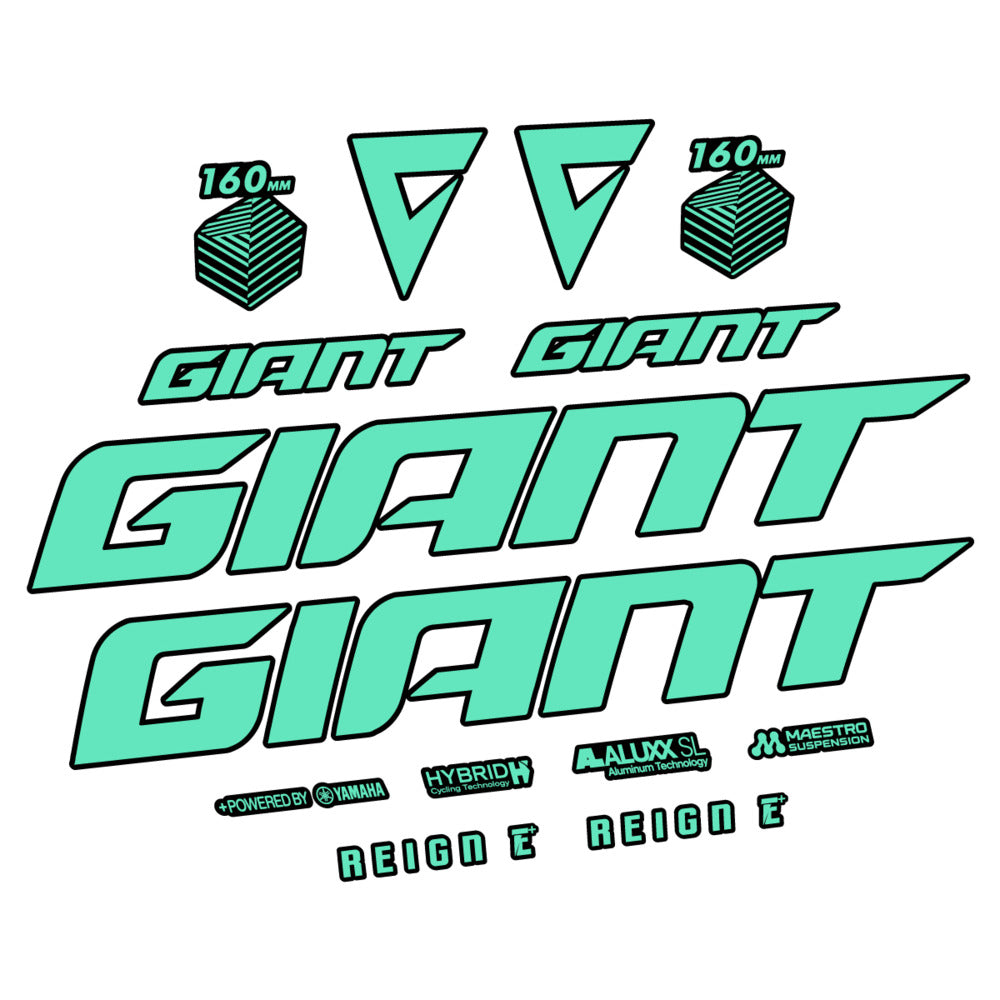Stickers for Giant E-Bike Reign Advanced 2022-2023, Frame vinyl decals - Mint