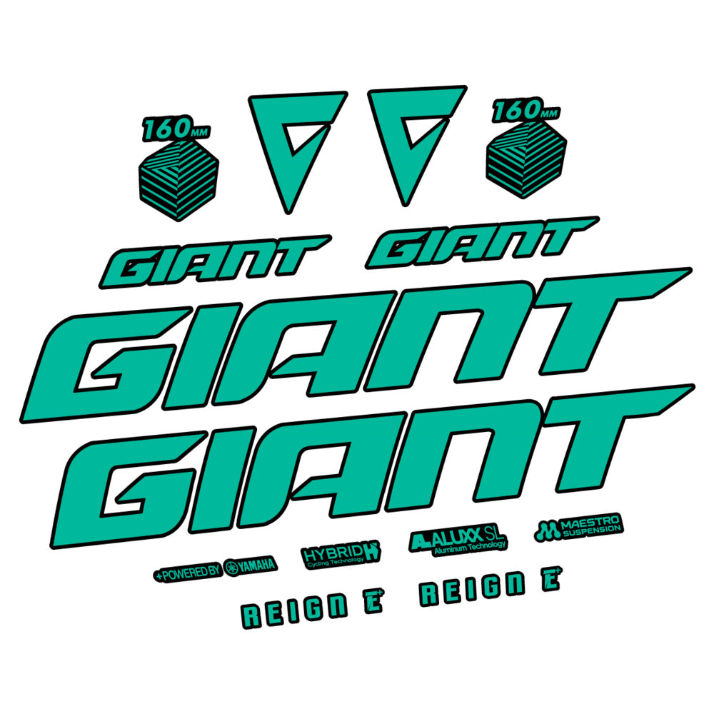 Stickers for Giant E-Bike Reign Advanced 2022-2023, Frame vinyl decals - Green Turquoise