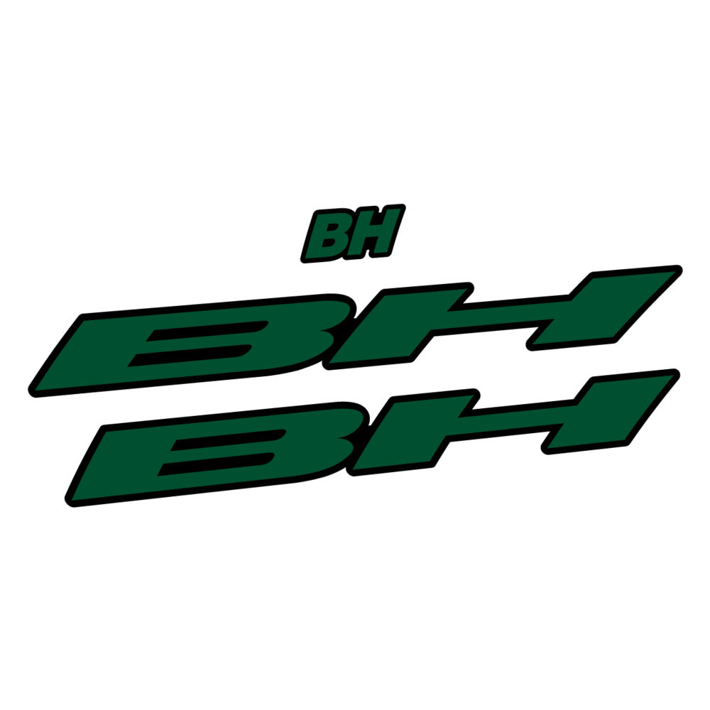 Stickers for BH Lynx Race Evo Carbon 2022, Frame vinyl decals - Dark Green