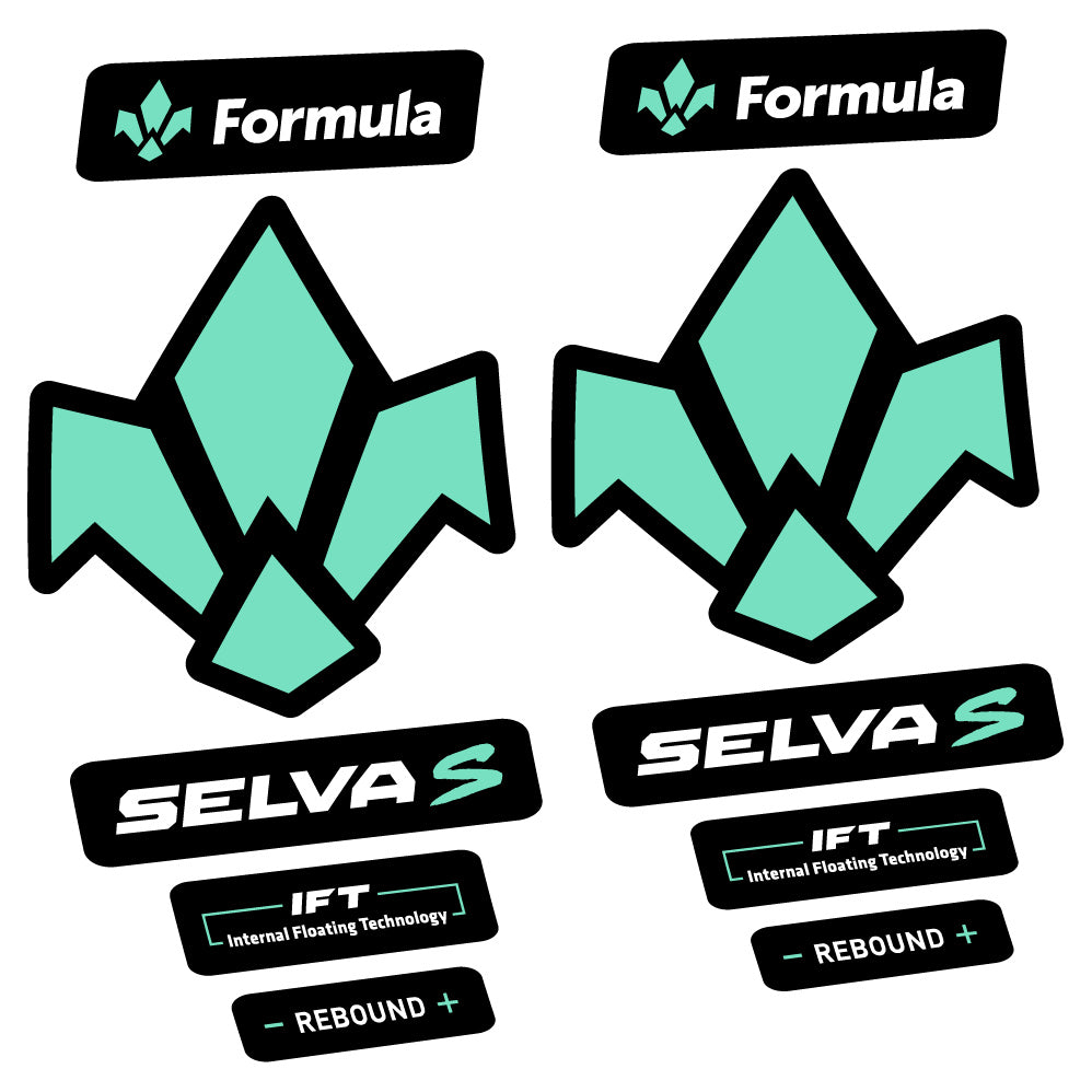 Aufkleber Formula Selva S 2019, Fahrradgabel, Sticker Vinyl