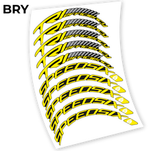 Load image into Gallery viewer, Decal, Speedsix TRI efficiency 60, Mountain Wheel Bikes Sticker vinyl
